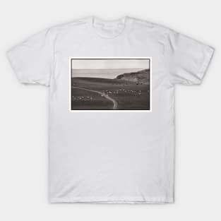 Sheep and cattle graze on the Mull of Galloway, Scotland T-Shirt